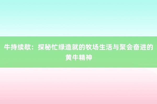 牛持续歇：探秘忙绿造就的牧场生活与聚会奋进的黄牛精神