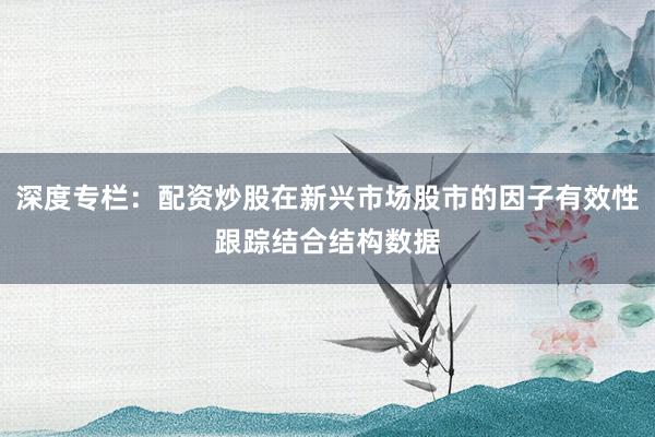 深度专栏：配资炒股在新兴市场股市的因子有效性跟踪结合结构数据
