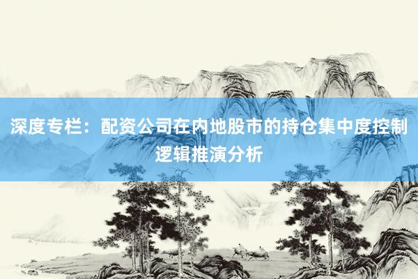 深度专栏：配资公司在内地股市的持仓集中度控制逻辑推演分析