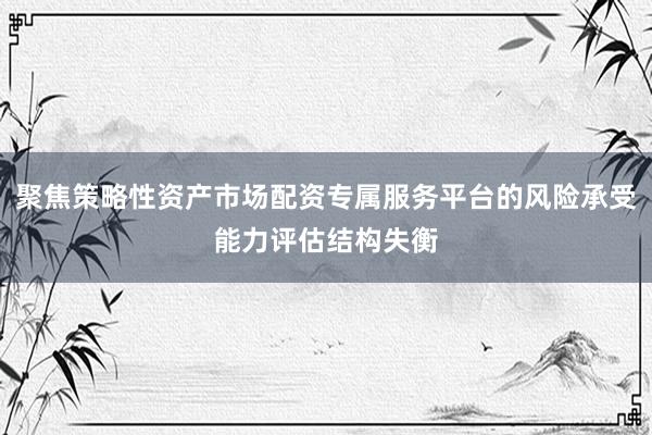 聚焦策略性资产市场配资专属服务平台的风险承受能力评估结构失衡