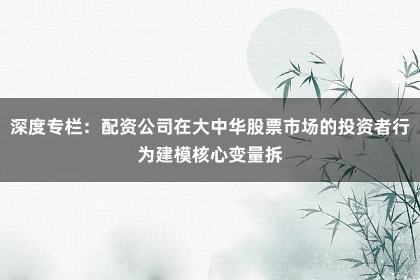 深度专栏：配资公司在大中华股票市场的投资者行为建模核心变量拆