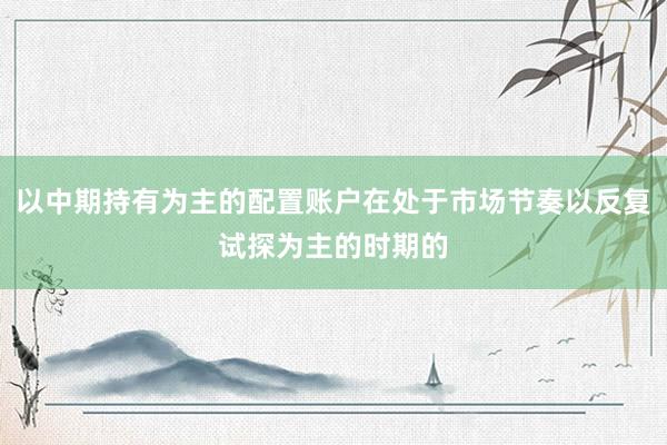 以中期持有为主的配置账户在处于市场节奏以反复试探为主的时期的